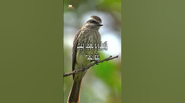 وَمَا ظَلَمْنَاهُمْ وَلَٰكِن كَانُوا هُمُ الظَّالِمِينَ  #تلاوة_خاشعة  #رمضان #قران_كريم