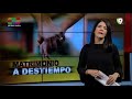Matrimonio a destiempo - El Informe con Alicia Ortega