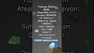 Firavunu Öldüren Sinek, Peygamber S.a.vı Koruyan Örümcek Üzelsözler
