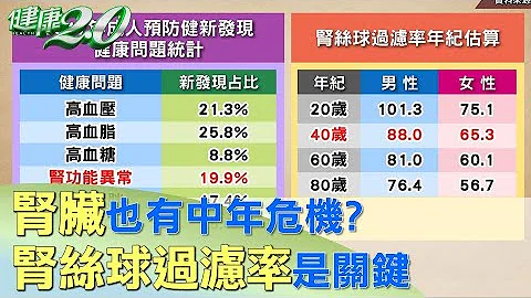 肾脏也有中年危机？ 肾丝球过滤率是关键 健康2.0 - 天天要闻