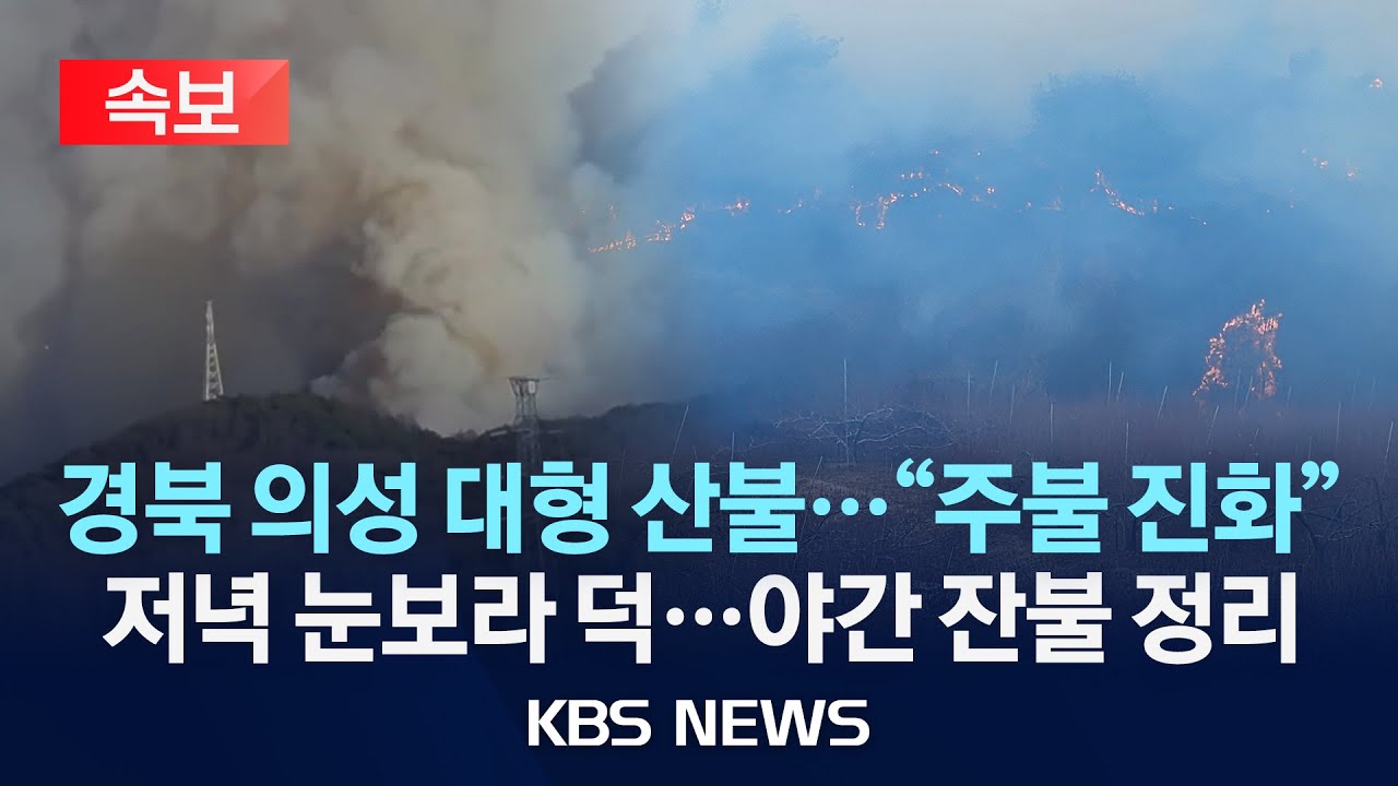 경북 의성 산불 관련 보도 화면