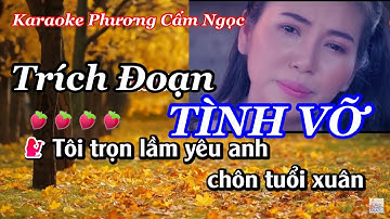 Karaoke Trích Đoạn TÌNH VỠ Phương Cẩm Ngọc Dây Đào