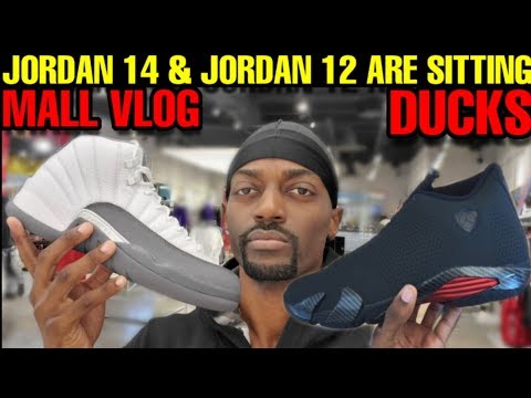 jordan-14-quilted-black-ferrari-&-jordan-12-dark-grey-sitting-like-ducks!!!-did-yall-cop-tho??