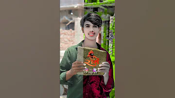 12 August 2025 