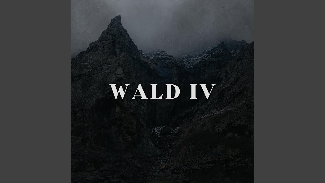Wald 4 - YouTube
