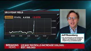 BlackRock's Rosenberg: The Unemployment Rate Is 'Noisy'