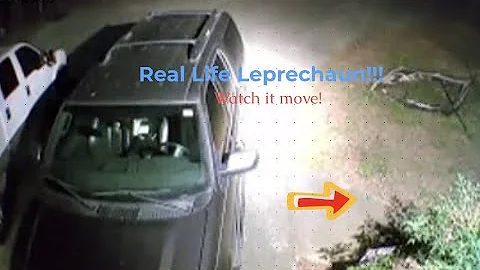 Real life Leprechaun!!!