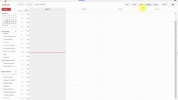 Google Calendar Custom View