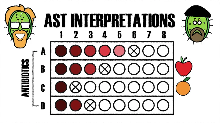 Essential Tips to Use and Interpret Antimicrobial Susceptibility Tests