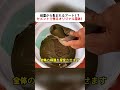 紙型から生まれるアート!? セメントで作るオリジナル花鉢! #DIY #セメントクラフト #ハンドメイド鉢 #クラフト #手作りインテリア
