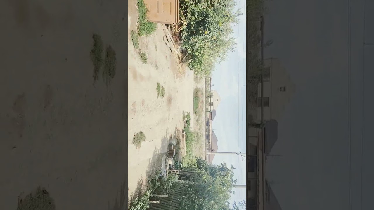 3 сентября 2023 г.