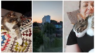 : VLOG 476:  