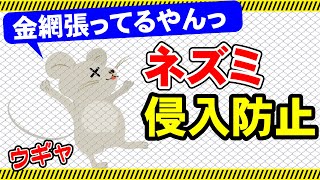 【ネズミ対策】ネズミを駆除するのではなく、侵入を防止する網があります。使い方を詳しくご紹介しています。参考にしてみてください！！