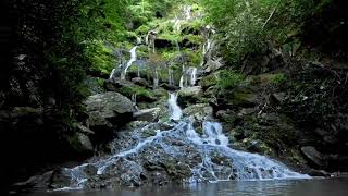 🌙 Somewhere between silence and music… #RelaxingMusic #PeacefulSounds #DeepRelaxation #SleepMusic