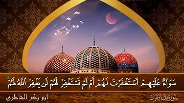 سورة المنافقون - جودة عالية - القارئ الشيخ  ابو بكر الشاطري