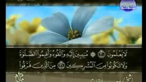 سورة الروم كاملة الشيخ سعد الغامدي