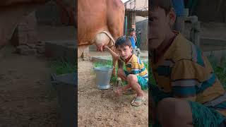 Choti Choti Gaiya Gf Utgf Vhvfcow radheradhe anaya