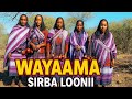 Wayaama Sirba Loonii Wayama Borana Traditional Song Of Praising Cattles