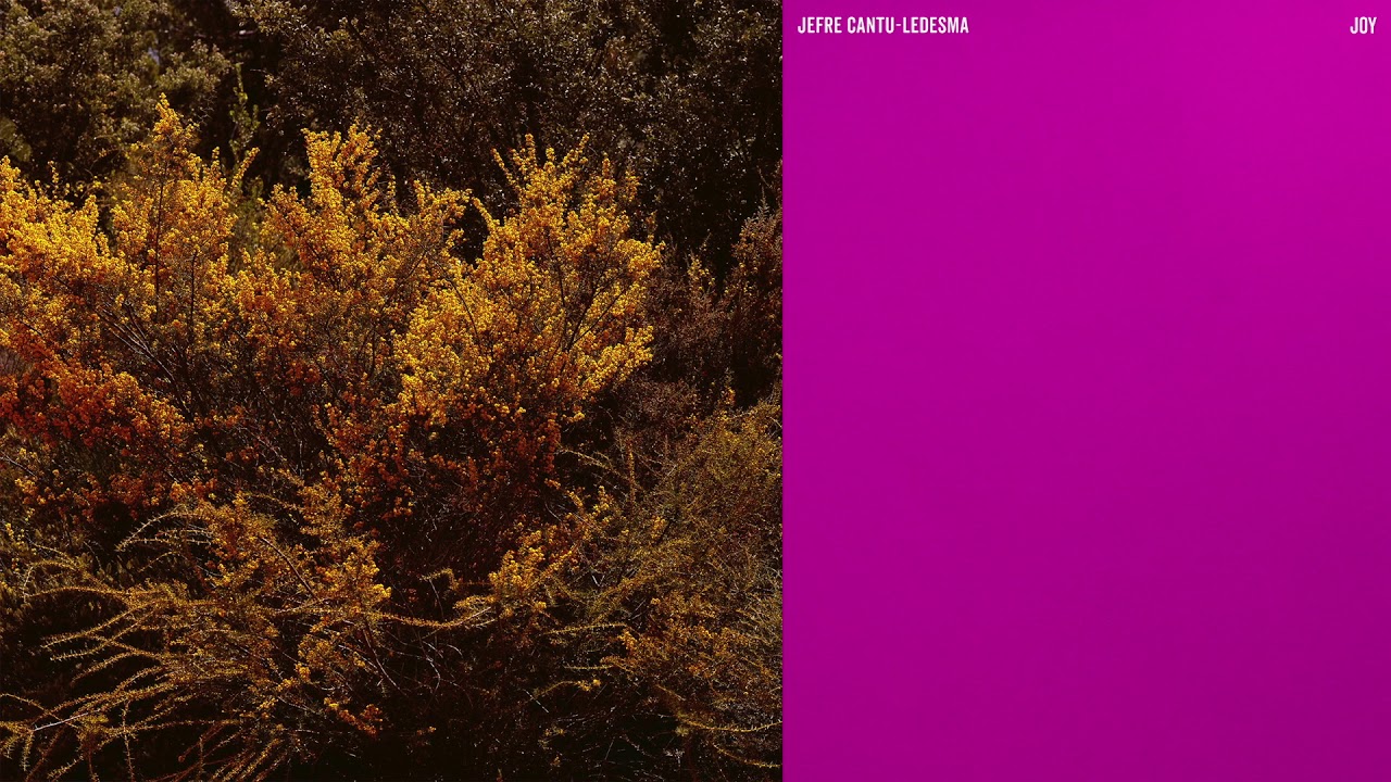Watch Jefre Cantu-Ledesma - Joy (Official Audio) on YouTube Watch Jefre Cantu-Ledesma - Joy (Official Audio) on YouTube