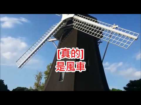 真真假假