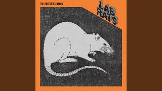 Elevator Vibes - The Brothers Nylon