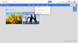 Google+ - How To Enhance A Photo By Applying Auto Enhance screenshot 5
