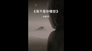 我不是孫悟空 孫毅然