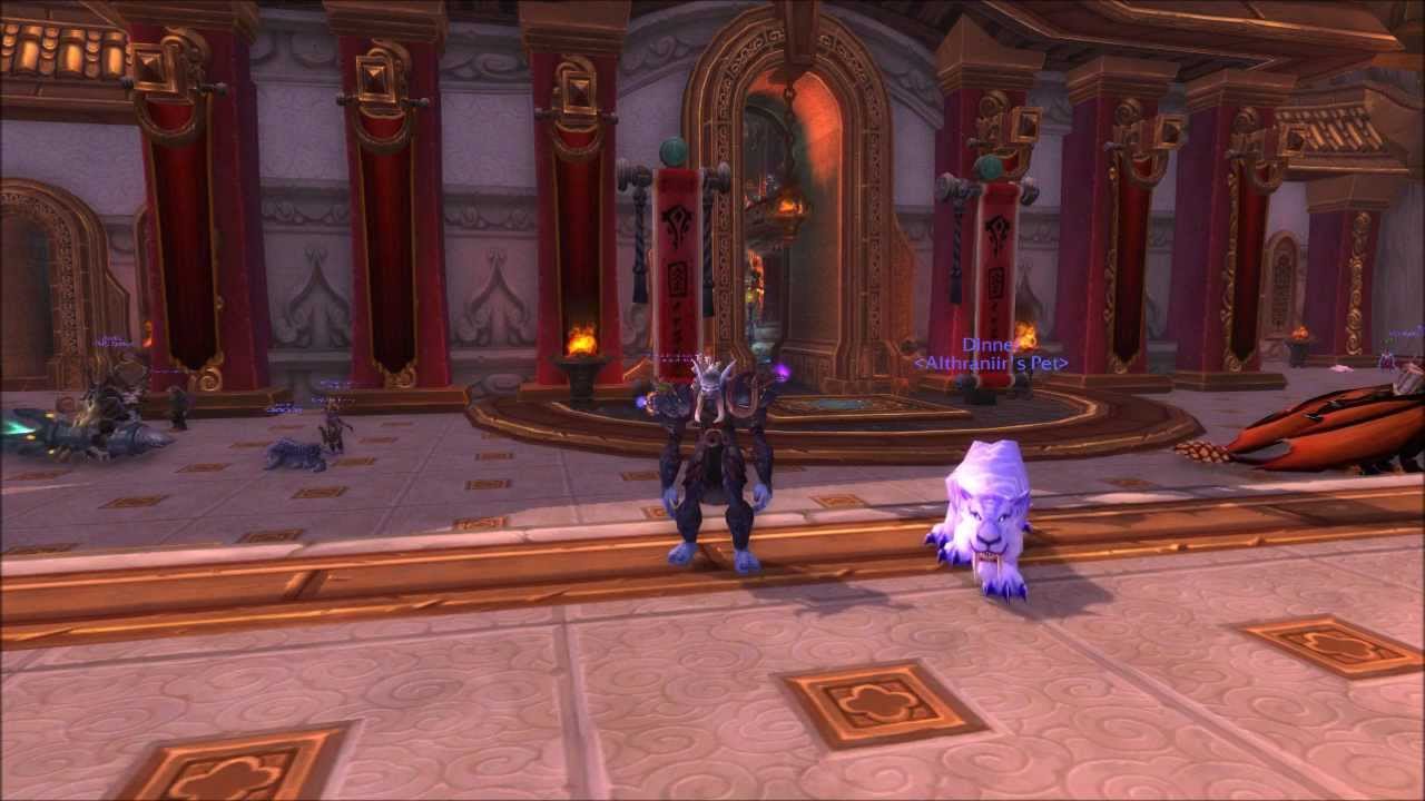 Mists of Pandaria Beta - Hunters Learned How to Sheath their Ranged Weapons!