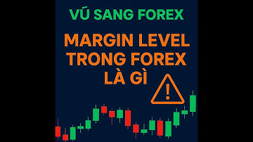 Margin Level Trong Forex Là Gì? Chỉ Số Cảnh Báo Cực Quan Trọng Cho Trader!