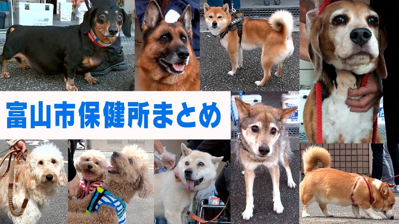 2022～2024ドタバタ劇シリーズ富山市保健所まとめ