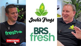 The Poison Dart Frog Expert! Interview with @JoshsFrogs