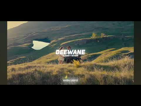 Deewane (Slowed+Reverb) Navaan Sandhu Ft Bir | Daaku | New Punjabi Songs 2025 | MUZIC EDITZ