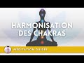 Mditation guide  harmonisation des chakras  par tams pataki