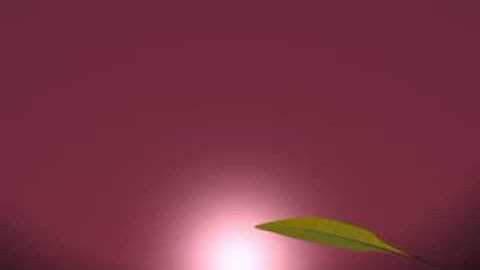 anim8or first animation