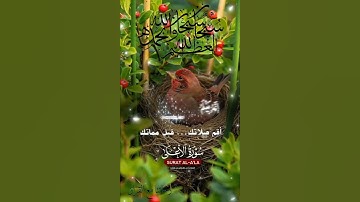 تلاوة خاشعة عطرة مباركة جميلة عذبة للشيخ ماهر المعيقلي ماتيسر من سورة الأعلى