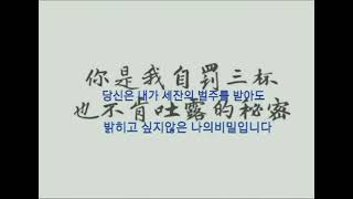 我太笨 미련하니까 중국노래번역 가사 단어 我太笨 미련하니까 중국노래번역 가사 단어