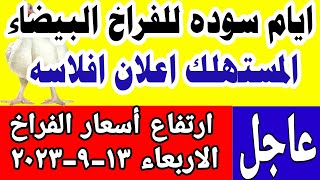 اسعار الفراخ اليوم سعر الفراخ البيضاء اليوم الاربعاء 2023/9/13 في مصر