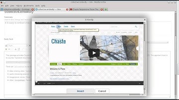 Collective.embedly