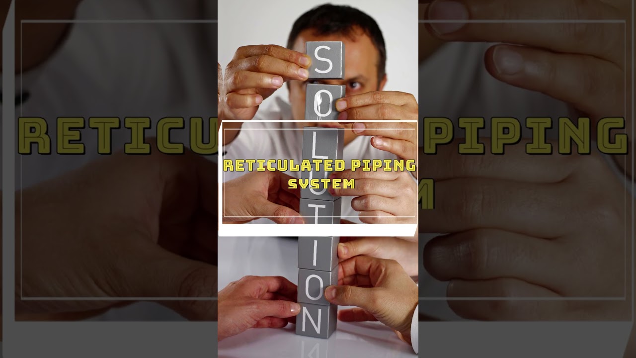 Termite Control Treatment in Home and Office | Unique Pest Management | pest control 