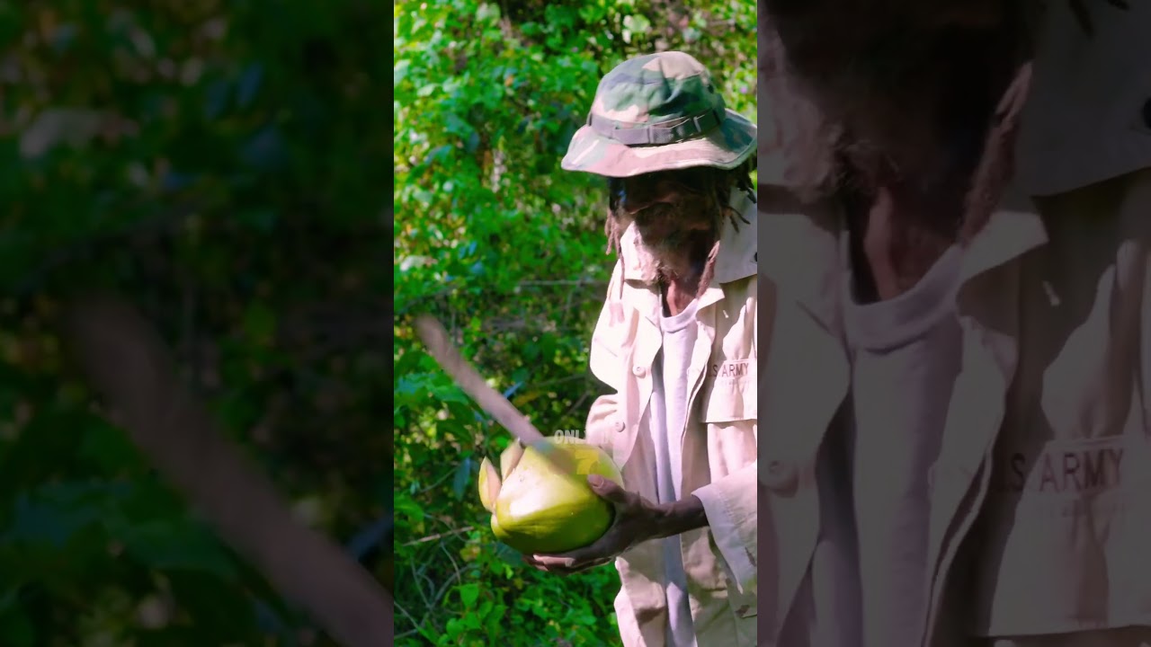 Jamaican fruit ninja 