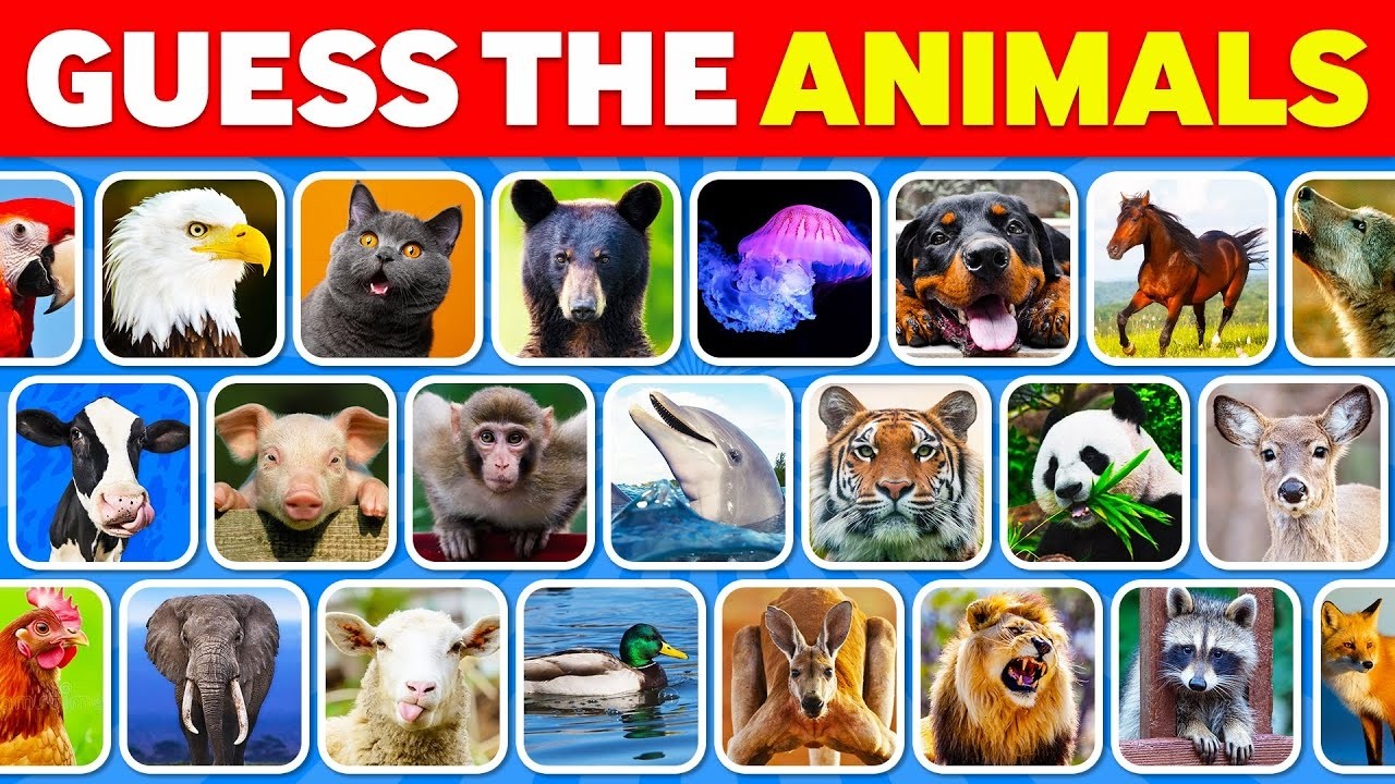 Guess the Animal by Picture 🦁 | Easy Medium Hard Animal Quiz - YouTube