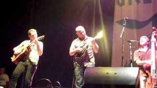 Stringdusters @ Grey Fox 2011! 2