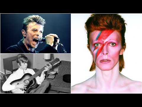 Video: David Bowie Neto vrednost