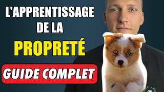 Comment rendre un chiot propre rapidement : tout ce que vous devez savoir !