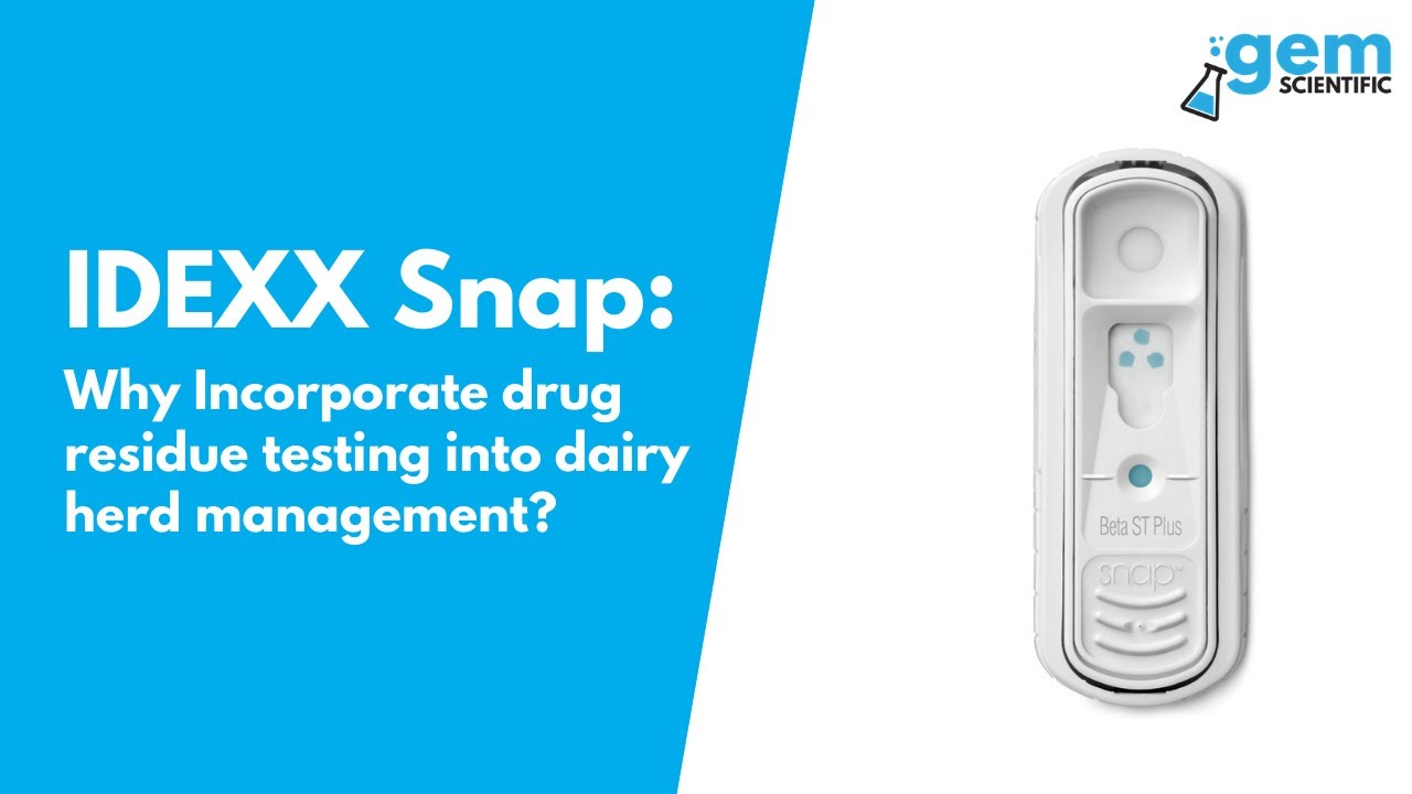 IDEXX Snap Why Incorporate drug residue testing into dairy herd