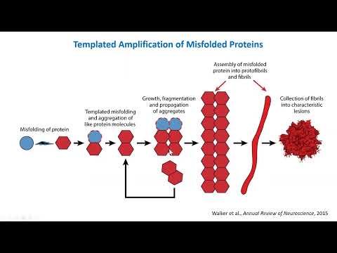 From Bench to Bedside: The Promise and Hope of MSA Research - Alpha-synuclein with Dr. Peng