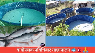 Biofloc fish farming in Nepal ??
