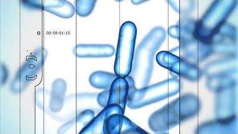 Microsoft Game Studios Intro Halo 2 (Bungie) HD