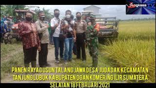 Panen raya dusun talang Jawa desa judadak kec Tanjung lubuk OKI sum-sel