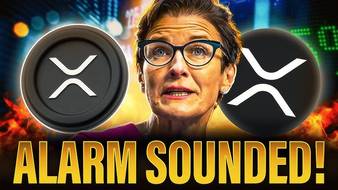 Citi Bank CEO Just Sounded The Alarm | Huge Ripple XRP News